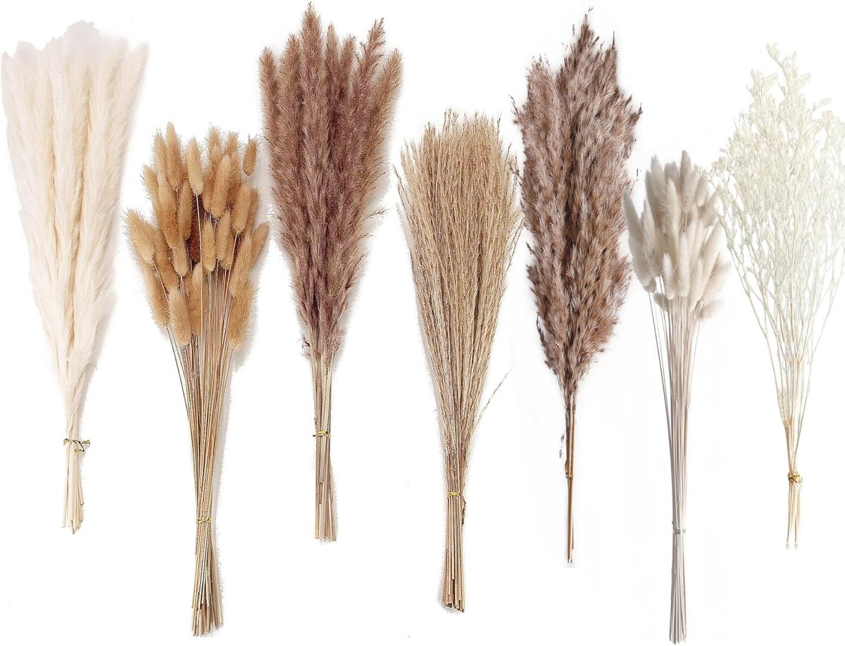 SnelShoppen - Dried Pampas Grass Decoration - 128 Stuks Boho Bloemen, Oxtail, Grass Bouquet voor Bruiloft, Thuisdecoratie, Rustieke Feestjes, Natuurli