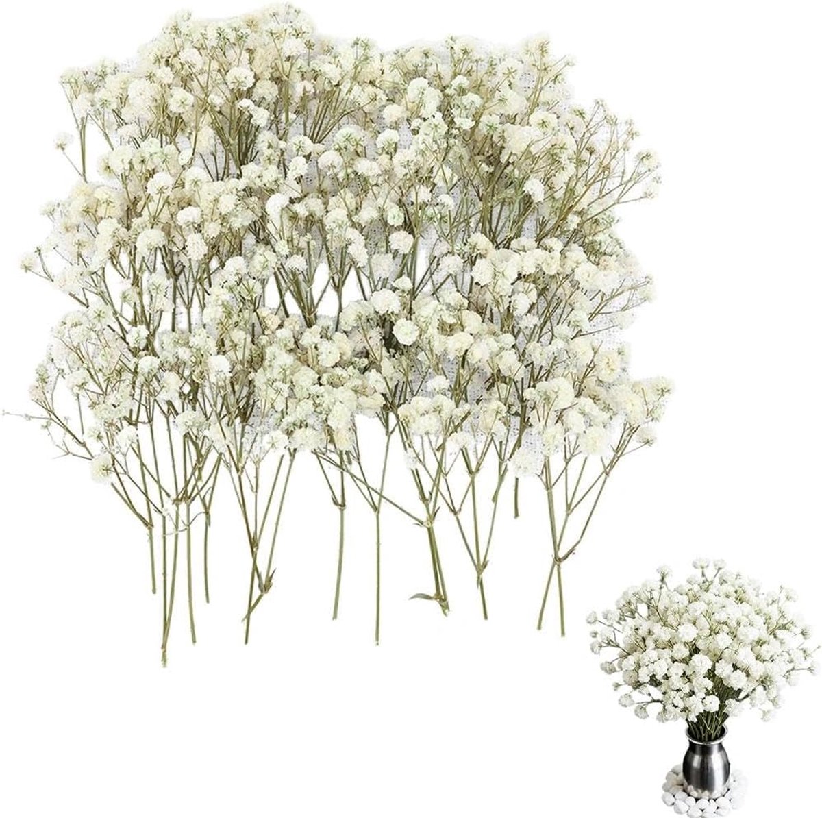 SnelShoppen - 100 Drogen Geperste Bloemen - Natuurlijke Kleine Gypsophila Bloemen voor Creatieve Projecten, Resin Art, Epoxy DIY, Bruiloft Kaarten, Va