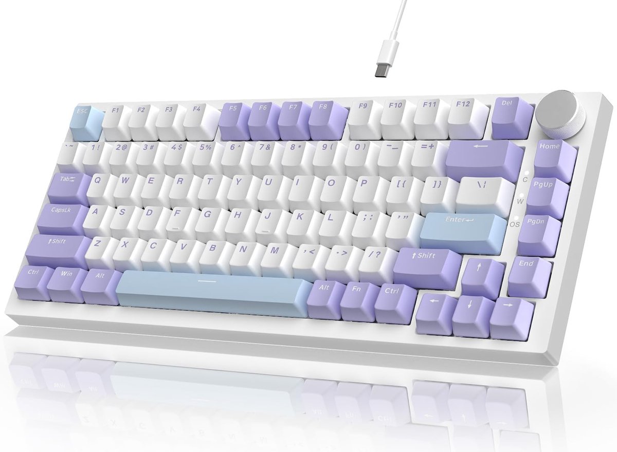 SnelShoppen - Mechanisch Toetsenbord 75% ANSI - 82 Toetsen Gaming Toetsenbord met RGB Verlichting, Geluidsabsorberende Schuim, Hot-Swappable, Lineaire