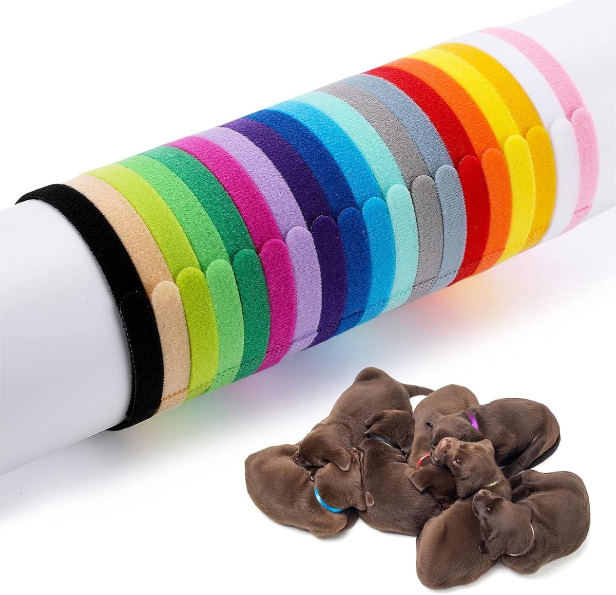SnelShoppen - 20 Stuks Puppy Halsbanden, Verstelbare Hondenhalsbanden voor Kleine Honden en Katten, Diverse Kleuren, ID Labels, 30 cm, Perfect voor Fe
