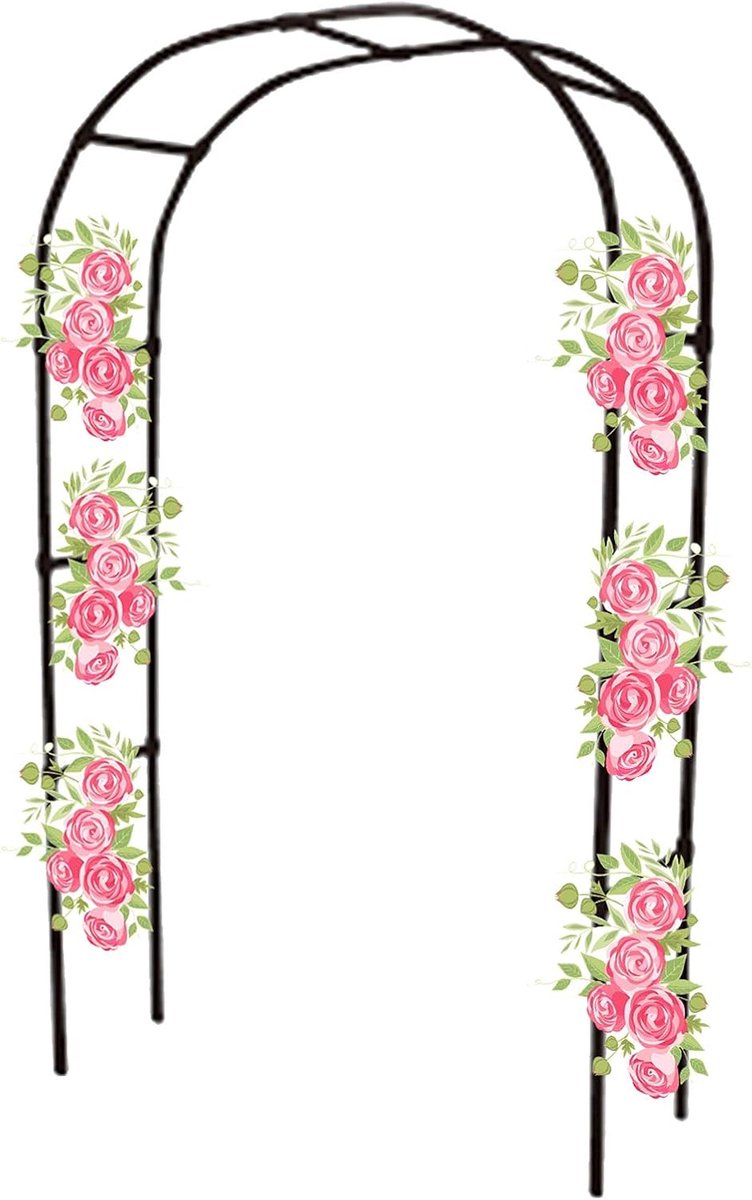 Tuin Prieel - Metalen Boog - Decoratie Planten - Roestvrij IJzer - W180xH240cm - Zwart