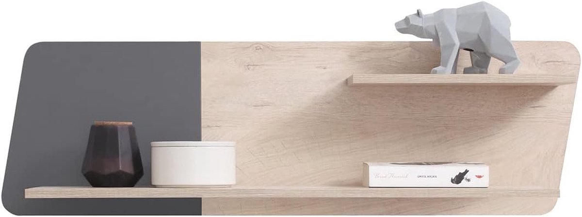 Wandrek Plank - Zwevende Plank - Woonkamer Decoratie - Modern Design - 110 cm Breed - Antr
