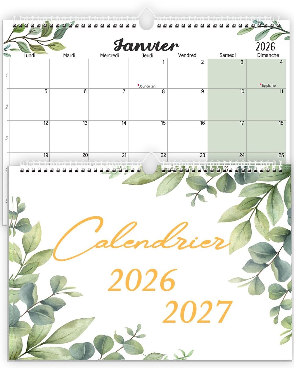 Dailygoods- Gezinskalender 2026 - Maandkalender A4 - Wandkalender 18 maanden - Maandplanner - Familiekalender - Eenvoudig organiseren