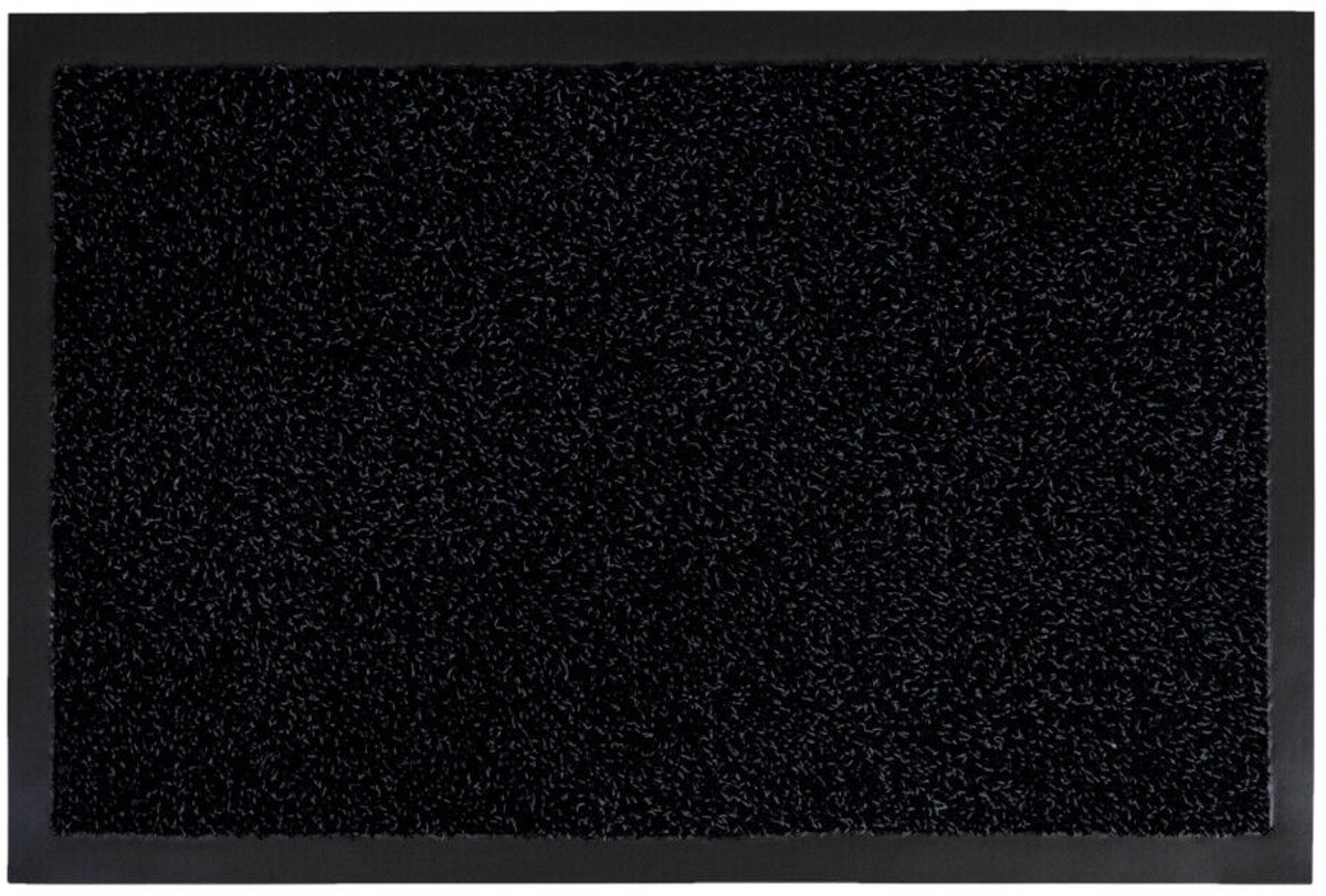 Borstelshop Deurmat Binnen - Droogloopmat - Schoonloopmat - Antislip - 50 x 80 cm - Grafiet