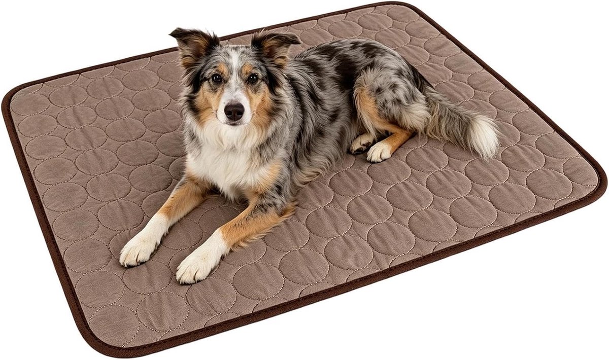 Koelmat Honden - Huisdier Koelmat - Rustgevende Koelte - IJszijde Ademend - 25L x 34B cm - Koffie