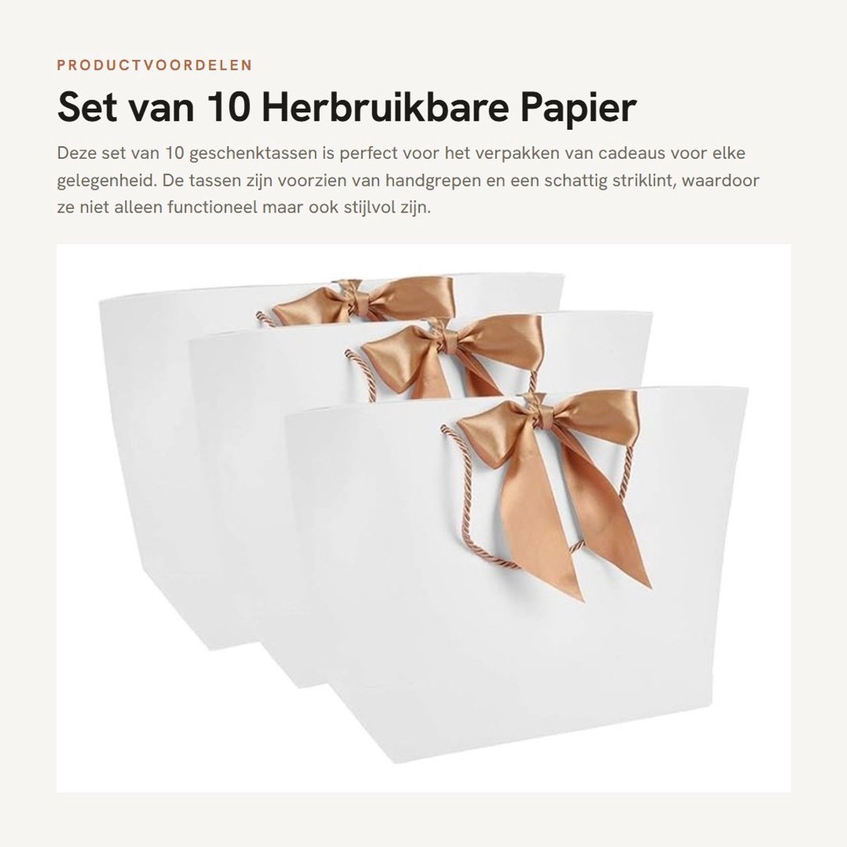 Dailygoods- Geschenkzakjes 10 stuks - Papier met handgrepen - Herbruikbaar - Feestzakjes - Cadeauverpakking - Ideaal voor knutselwerk - Afmetingen 21 x 7 x 15 cm - Cadeautas