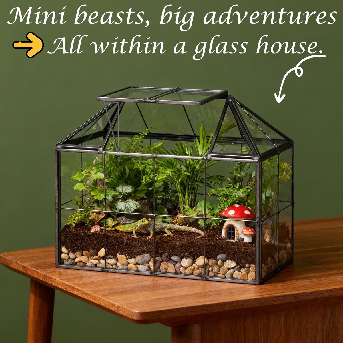 Dailygoods- Broeikas Mini - Vensterbank - 23,3 x 13,6 x 18 cm - Glas – foto 4
