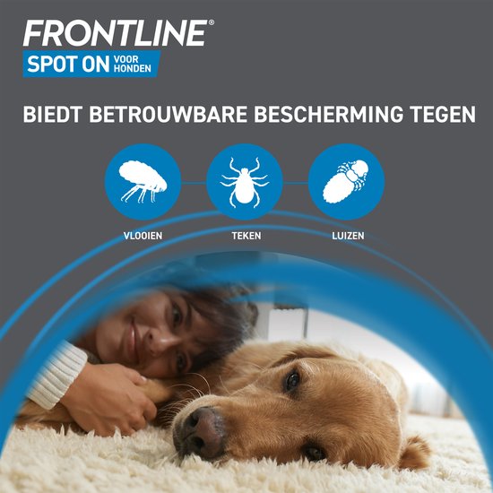 Frontline Spot On: Biedt betrouwbare bescherming tegen vlooien, teken en luizen. Met huisdier en eigenaar.