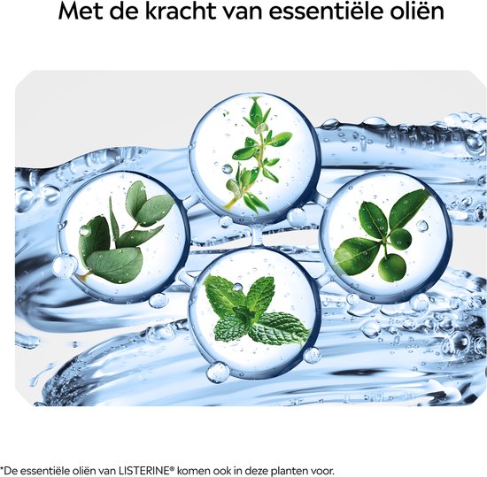 Illustratie van vier plantenblaasjes met water druppels en de tekst "Met de kracht van essentiële oliën".