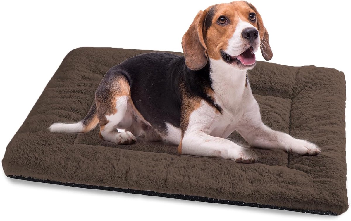 Hondenbed voor binnen, groot hondenkussen met antislip onderkant, 90 x 60 cm, comfortabel hondenkussen, wasbaar hondenbed, zacht, bruin
