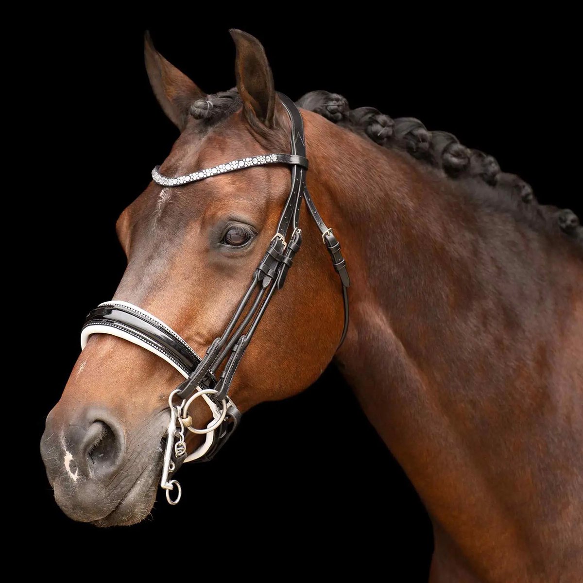 Hoofdstellen Imperial Riding Olympia