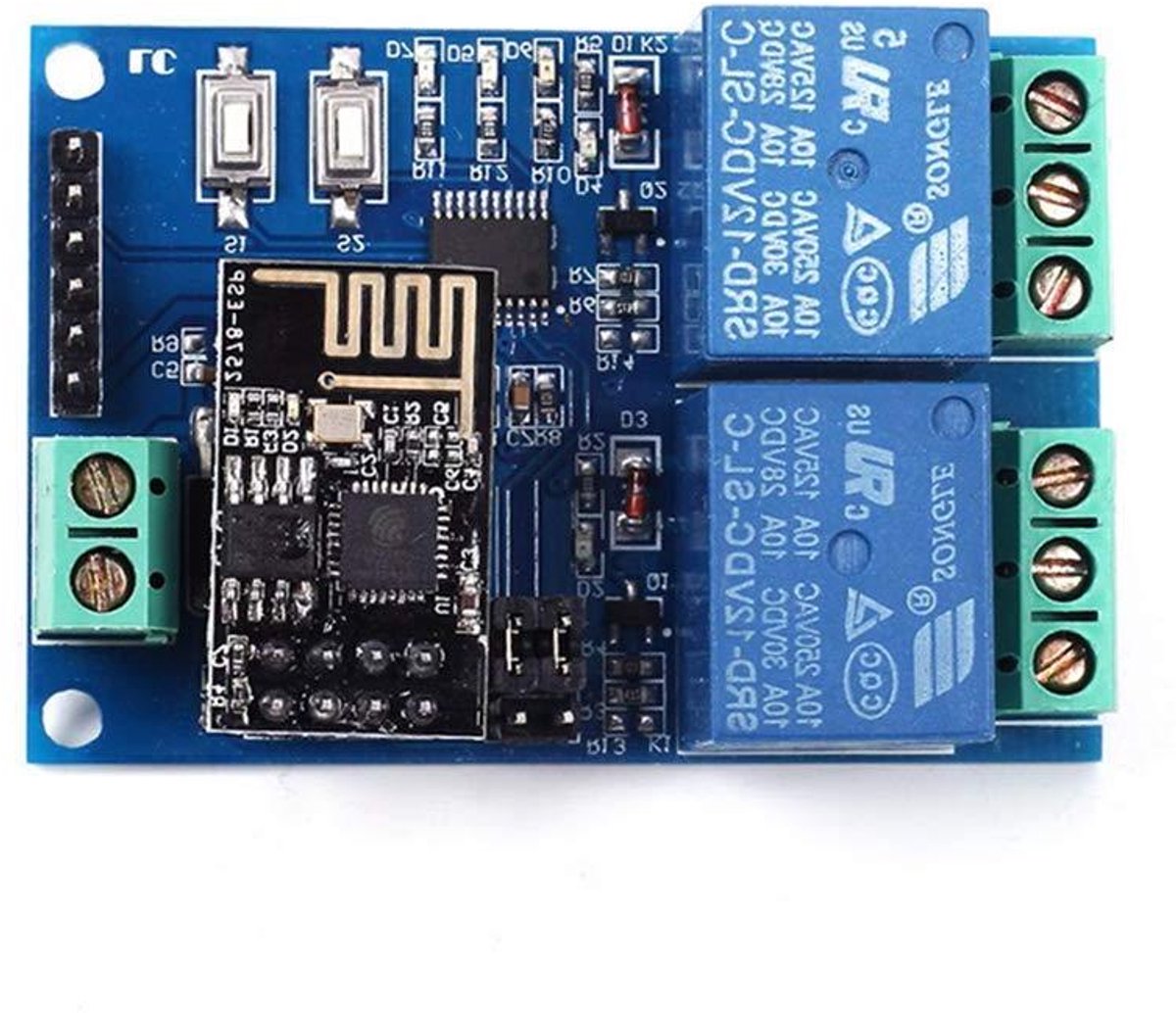 WiFi Relaismodule - Schakelmodule Draadloos - Apparaten Bediening - 2 Kanaals - 12V 10A - Groen