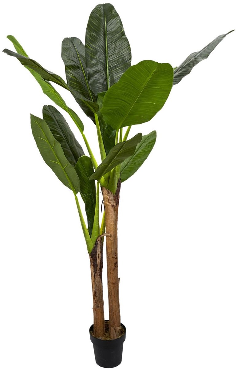Living Musa kamerplant, ø 45 x 160 cm, kunststof bananenplant, kunstplant, verzorgingsvrije bananenplant, levensechte kunstplant, tropische kamerplant, groen