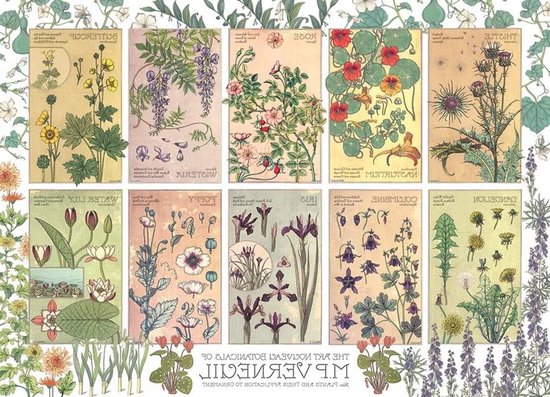 Botanische Art Nouveau illustraties van M.P. Verneuil met diverse bloemen zoals irissen en rozen.