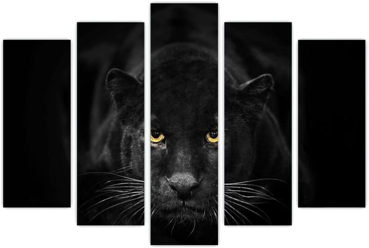 Wandkunst Schilderij - Wanddecoratie Set - Woonkamer Verfraaien - 5 Delige Set - 120 x 80 cm - Zwart
