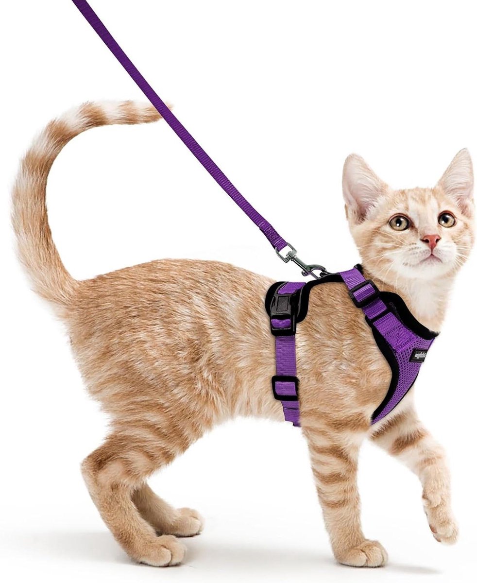 Kattenharnas met Riem - Kattentuigje Verstelbaar - Veilig Wandelen Buiten - Anti-ontsnapping Ontwerp - 150cm Riem - Paars