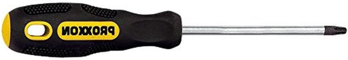 Torx Schroevendraaier - Schroefbit Tool - Vastschroeven Monteren - Ergonomische Handgreep - TTX 20 x 100 mm - Cranberry