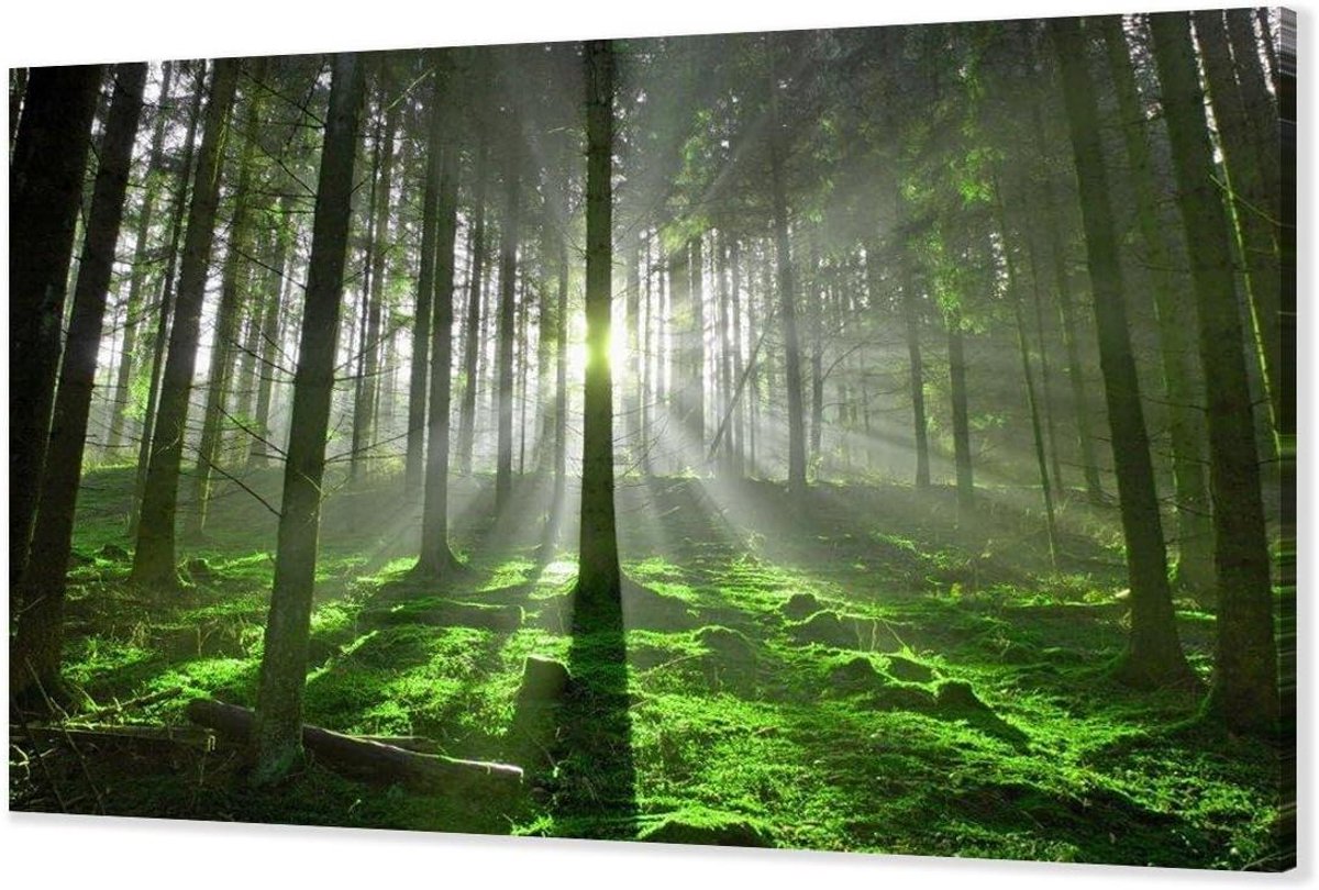 Canvas Afbeelding - Wanddecoratie Bos - Woonkamer Decoratie - Handgemaakt Houtframe - 120x80 cm - Natuurlijk