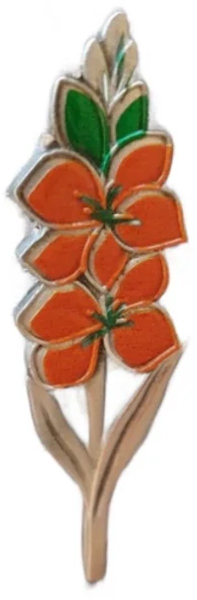 Pin / speld 4Daagse Nijmegen - gladiool oranje groen tin - Vierdaagse