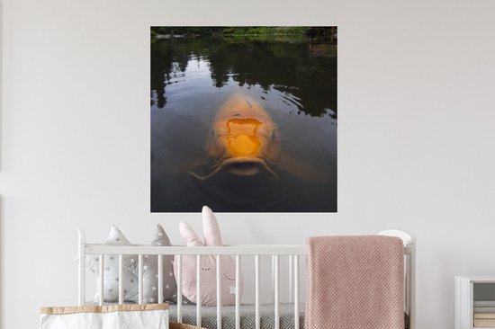 Stickers muraux - Une carpe koï géante dans l'eau - 80x80 cm - Film adhésif