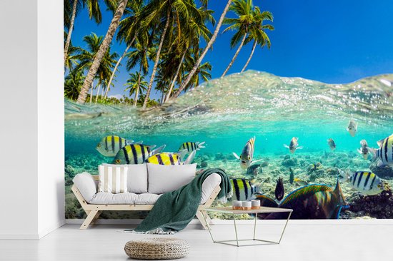 Behang - Fotobehang Strand - Vissen - Kleuren - Breedte 420 cm x hoogte 280 cm