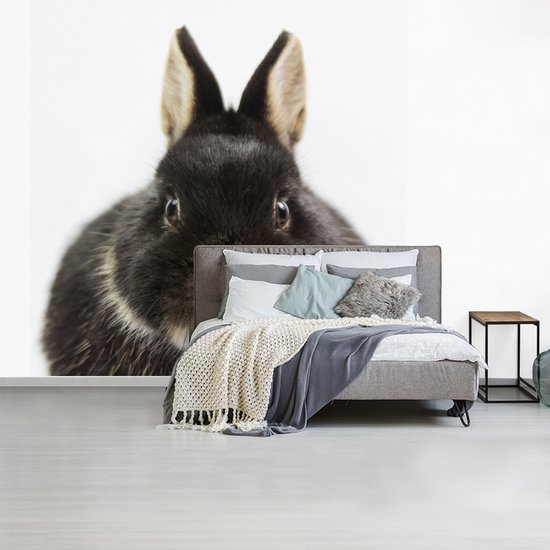 Behang - Fotobehang Konijn - Huisdieren - Vacht - Breedte 300 cm x hoogte 300 cm
