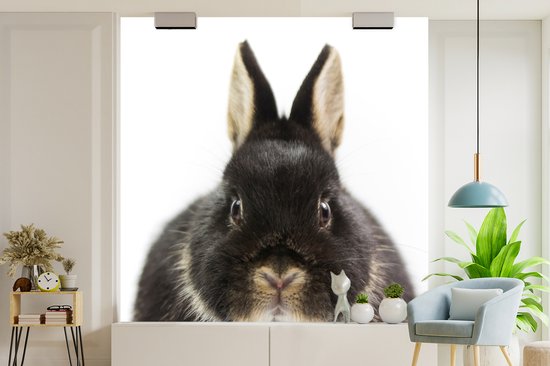 Behang - Fotobehang Konijn - Huisdieren - Vacht - Breedte 300 cm x hoogte 300 cm