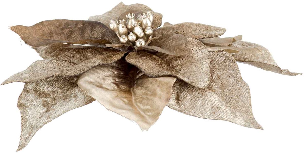 Cosy @ Home Clip Poinsettia Taupe 18x18xh4cm Kunstst
