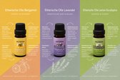 Etherische olie - 3 stuks Lemon Eucalyptus+Lavendel+ Bergamot - 100% natuurlijke plantenextracten - hoge concentratie olie - slechts een paar druppels nodig