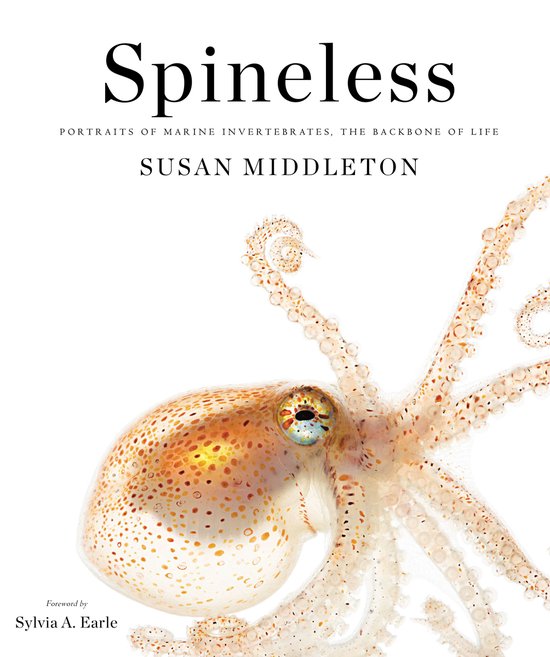 Spineless - cover