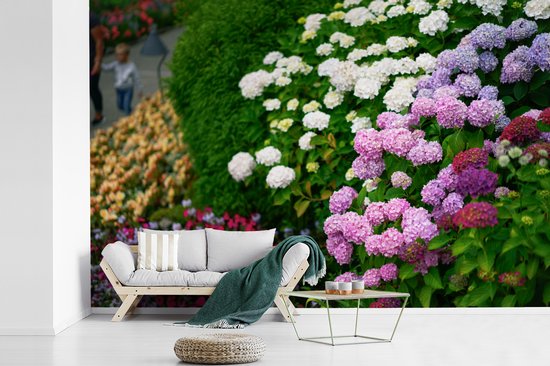 Behang - Fotobehang Levendige hortensia bloemen - Breedte 390 cm x hoogte 260 cm