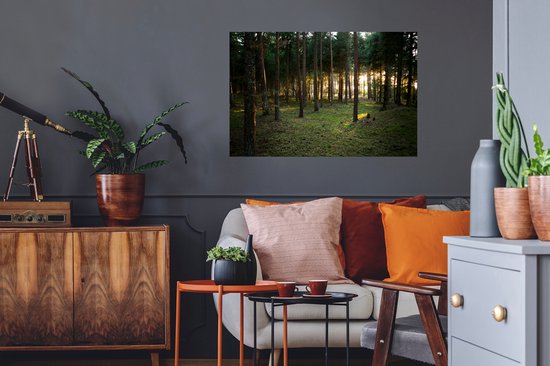 Sticker Muursticker Forêt - Soleil qui brille à travers les arbres de la forêt - 90x60 cm - feuille autocollante - sticker mural repositionnable