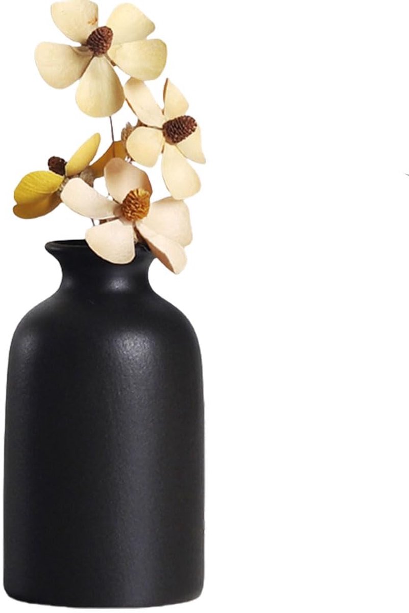 Vaas ronde droge bloemen Boheemse vazen minimalistische stijl huisdecoratie voor gedroogde bloemen planten (zwart)