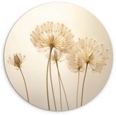 WallCircle® Wandcirkel 30x30 cm - Muurcirkel Paardenbloem - Botanisch - Bloemen - Planten - Natuurlijk - Aardtonen - Muurdecoratie cirkel woonkamer - Wanddecoratie slaapkamer - Kamer decoratie accessoires - Ronde schilderijen binnen