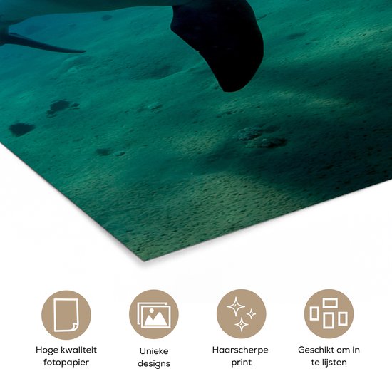 Photo sous-marine de dauphins avec des rayons de soleil. Icônes pour papier photo, designs, impression et accrochage.