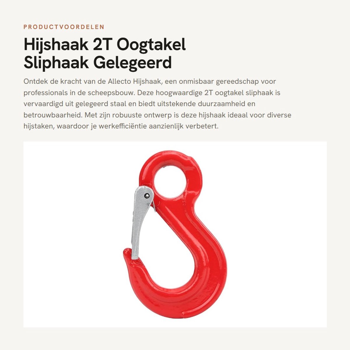 Dailygoods- Hijshaak 2T Gelegeerd Staal - Oogtakel - Sliphaak - Scheepsbouw - Industriële Apparatuur - Hoogwaardige Kwaliteit - Haak