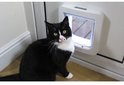 Zwarte en witte kat bij een wit kattenluik met microchip-technologie.