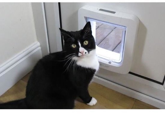 Zwarte en witte kat bij een wit kattenluik met microchip-technologie.