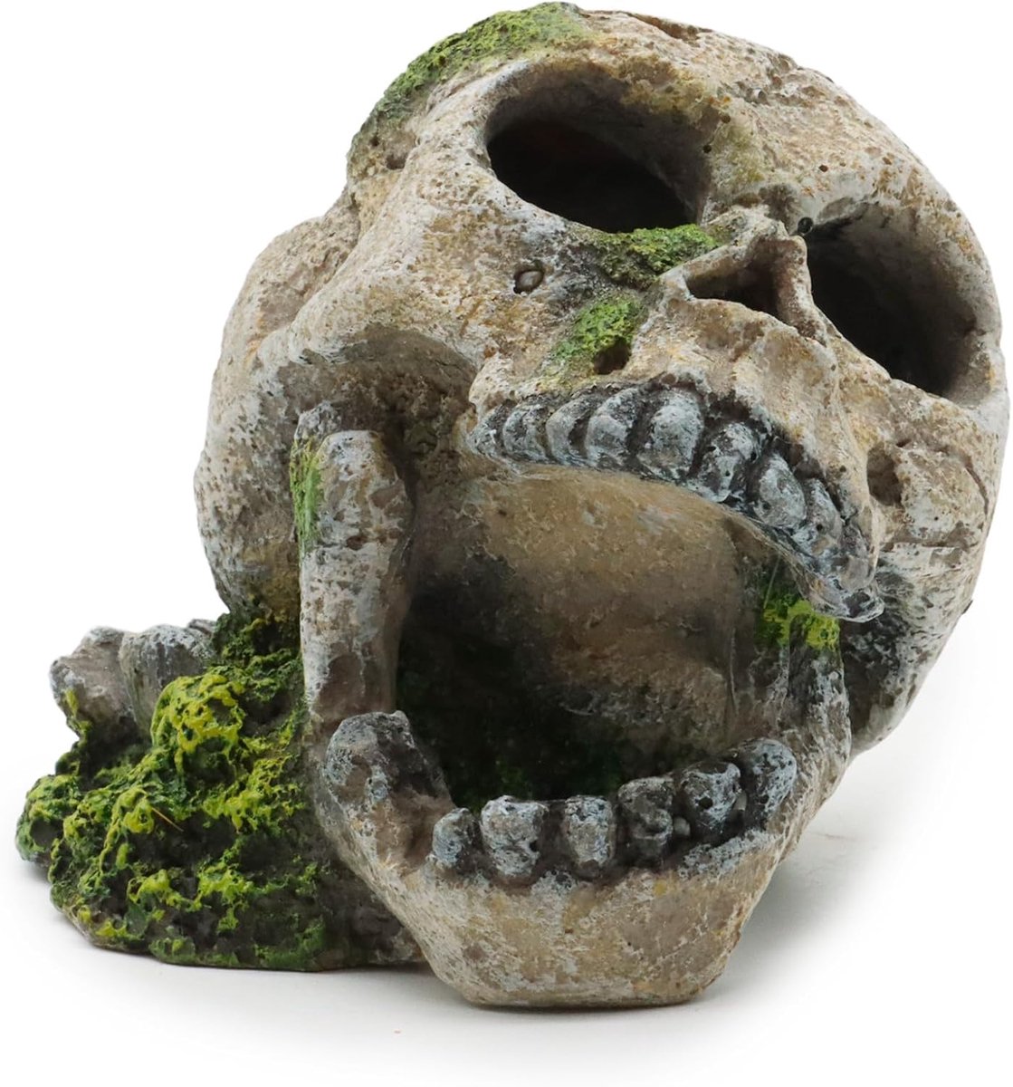 Wave Skull met Moss H