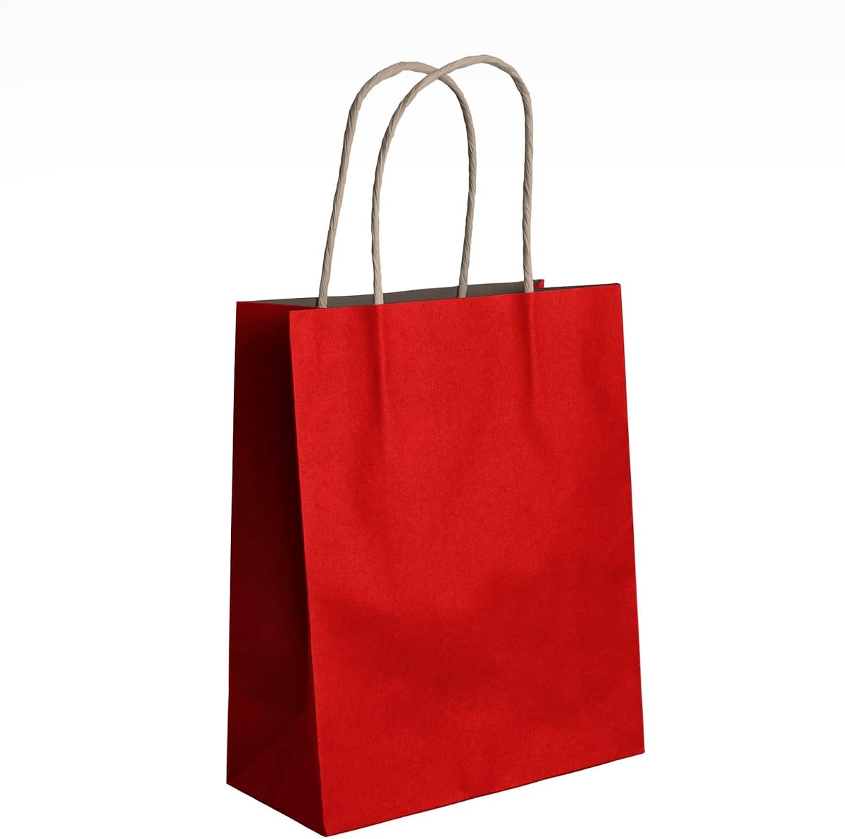Cadeautasjes set van 10 met hengsels 24 x 32 cm – milieuvriendelijke boodschappen- en geschenkdraagtassen, ideaal voor verjaardagen, feesten, cadeautjes en geschenkverpakkingen