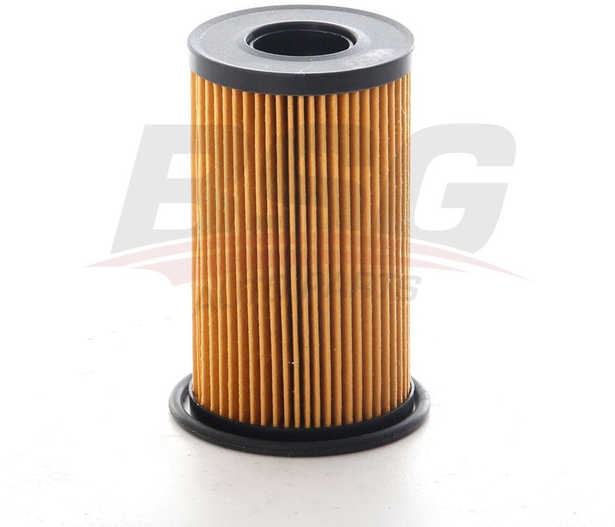 BSG Oliefilter 15-140-010 voor Land Rover Discovery Sport Range Rover Evoque Velar Defender Discovery 5 Jaguar XE XF F-Pace E-Pace 2.0 Ingenium Diesel | OEM LR073669 | JDE37128