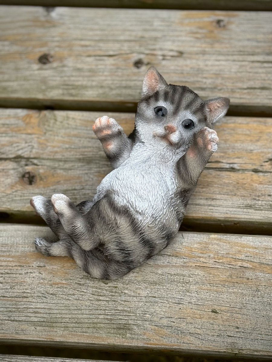 poes spelend op rug grijs 8 cm hoog ess - decoratief beeld - kat - kitten - dierenbeeld - voor buiten - cadeau - geschenk - verjaardag - voor hem - voor haar - Vaderdag - Moederdag - Valentijn - Pasen