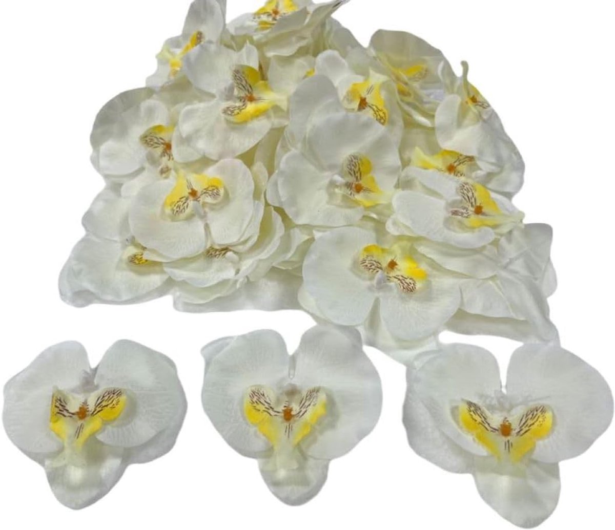50 Stks Orchidee Bloemblaadjes Kunstmatige Decoraties Orchideeën Hoofden Bloemen | Faux Silk Phalaenopsis vlinder bloemhoofden voor handgemaakte doe-het-zelf thuis bruiloft feest decoratie (wit)