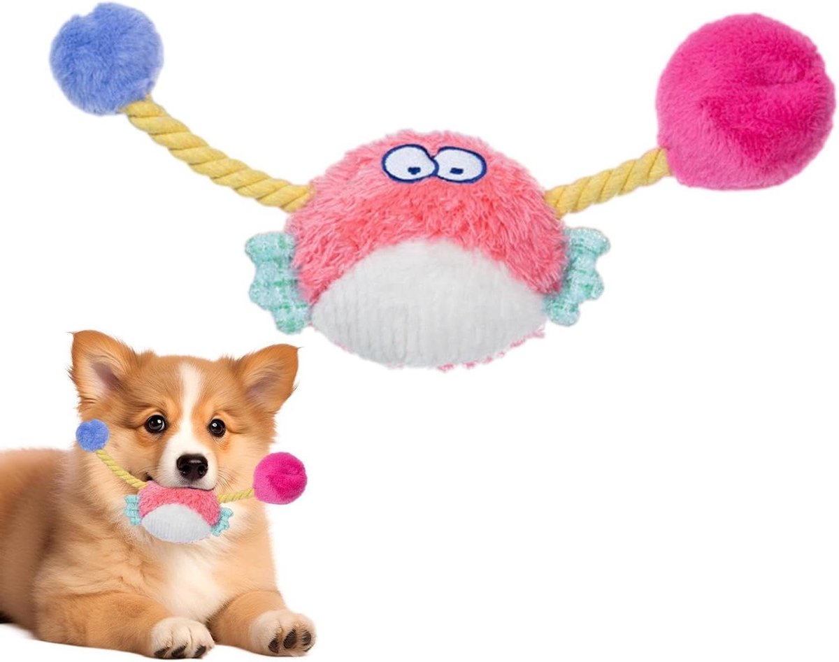 Hondenpiepspeeltjes - Puppy speeltje - Interactief spelen - Twee geluiden - 28x7x4 cm - Stijl B