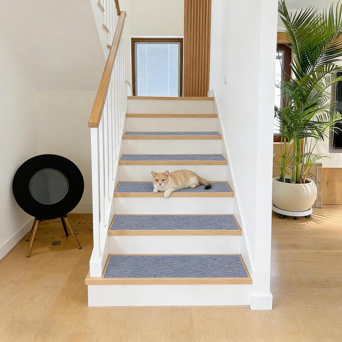 Trapmatten set - Traptreden tapijt - Veilig traplopen - Antislip onderkant - 20x76cm 5 stuks - Beige