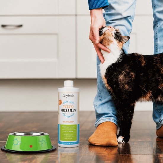 Een calico kat wordt gestreeld door een persoon in spijkerbroek en bruine sokken. Naast hen staat een flesje "OxyFresh Fresh Breath" en een groene voerbak.