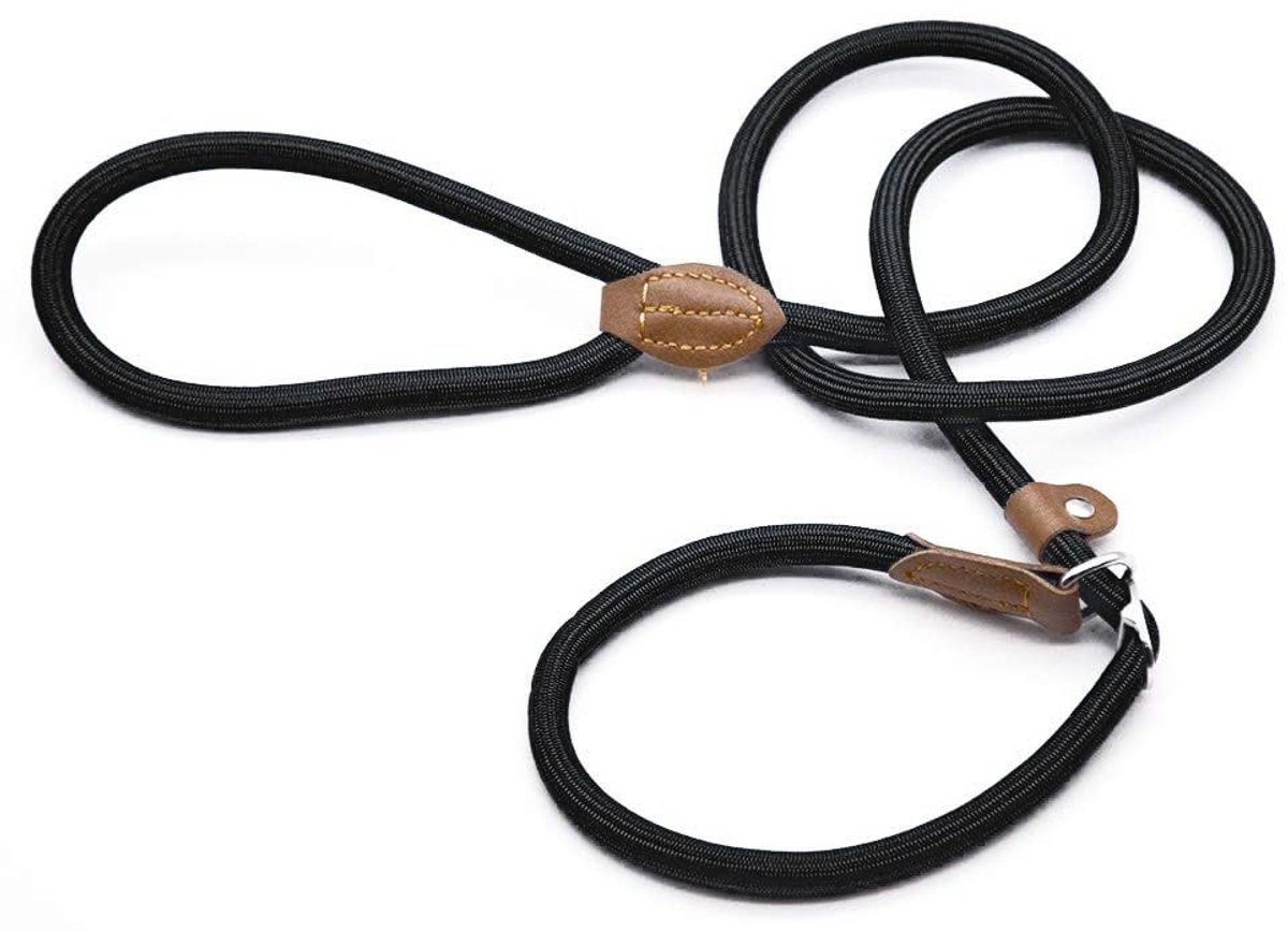 Dailygoods - Hondenlijn voor Grote Honden - Duurzame Moxon Leash met Verstelbare Halsband