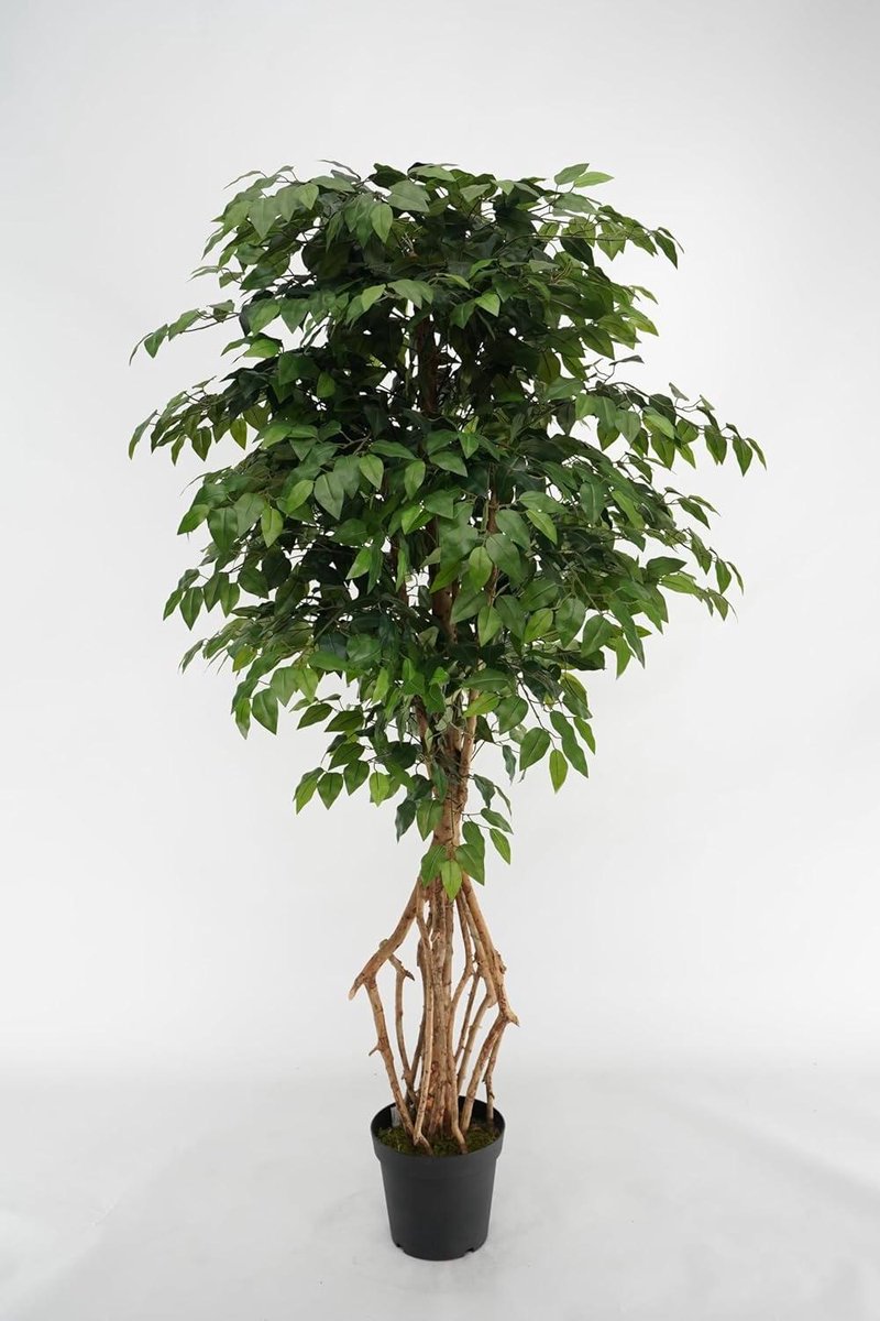 Kunstplant Ficus - Binnenplant Decoratie - Ruimtes Verfraaien - Natuurlijke Houten Stammen - 210 cm - Groen