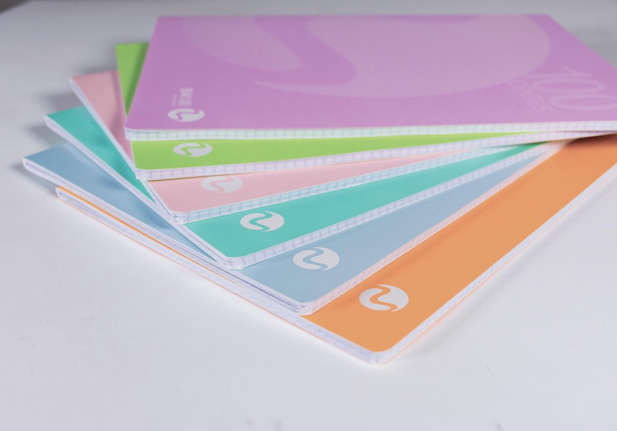 SnelShoppen - Notitieboek A4 Liniatuur 10 mm - Geruit 1 cm - 100 g/m² Papier - 12 Stuks in Pastel - Ideaal voor School, Notities, Creatief Schrijven