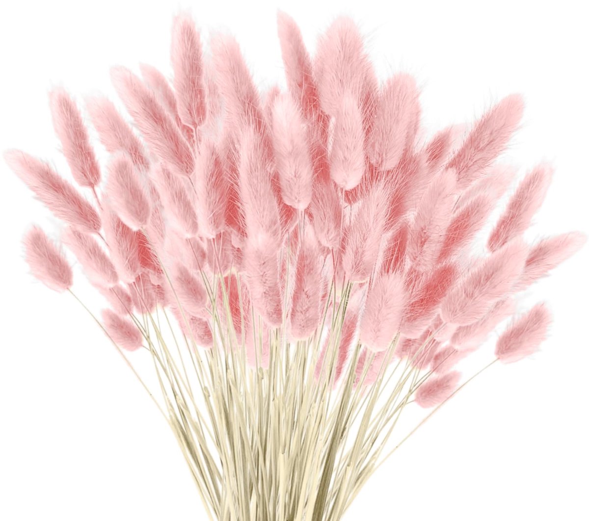 Dailygoods - 120 Dried Pampas Grass - Fluffy Boho Decoratie
